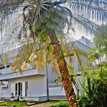 Bed and Breakfast Casa Mani Ubatuba Zewnętrze zdjęcie